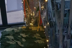 image-12