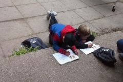 image-31