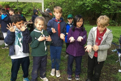 image-27
