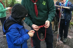 image-34