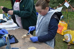 image-49