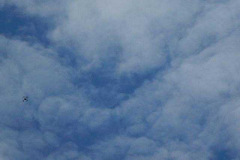 image-2023-07-19T234657.278