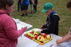 image-2023-07-19T234756.386