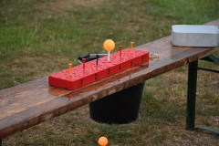 image-2023-07-19T234756.580