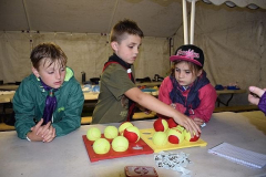 image-2023-07-19T234757.839