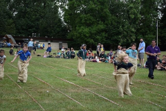 image-2023-07-19T234800.335