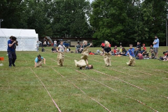 image-2023-07-19T234800.630