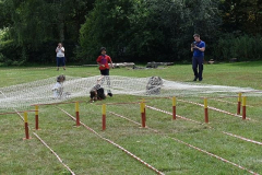 image-50