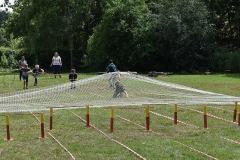 image-51