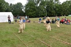 image-64