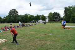 image-67