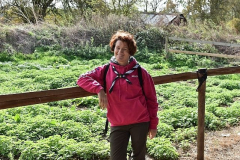 image-2023-07-19T235616.111