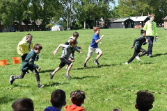 image-2023-07-20T000216.048