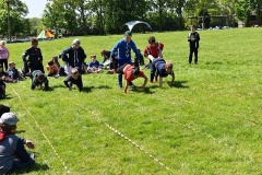 image-2023-07-20T000219.240