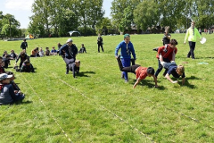 image-2023-07-20T000219.336