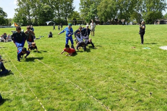 image-2023-07-20T000219.572