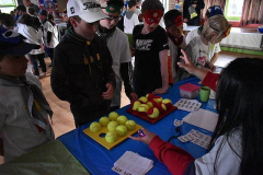 image-87