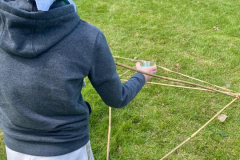 236fff67-bb78-4044-a969-39b1dd8a29a8