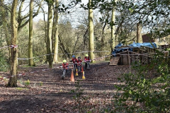 image-44